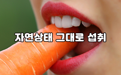 한국채식건강연구소