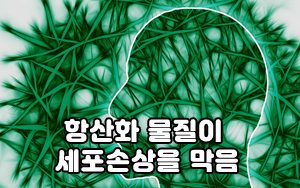 오가닉쇼핑몰