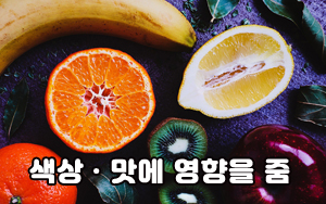 오가닉쇼핑몰