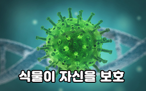 오가닉쇼핑몰